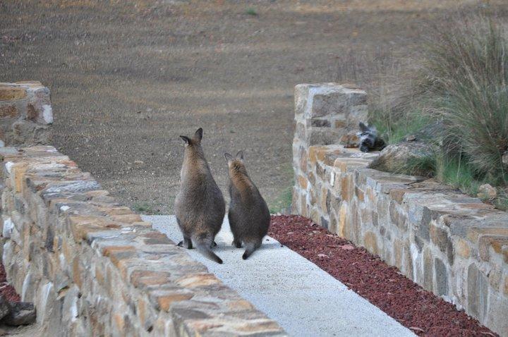 Blue Lake Lodge Steppes Dış mekan fotoğraf